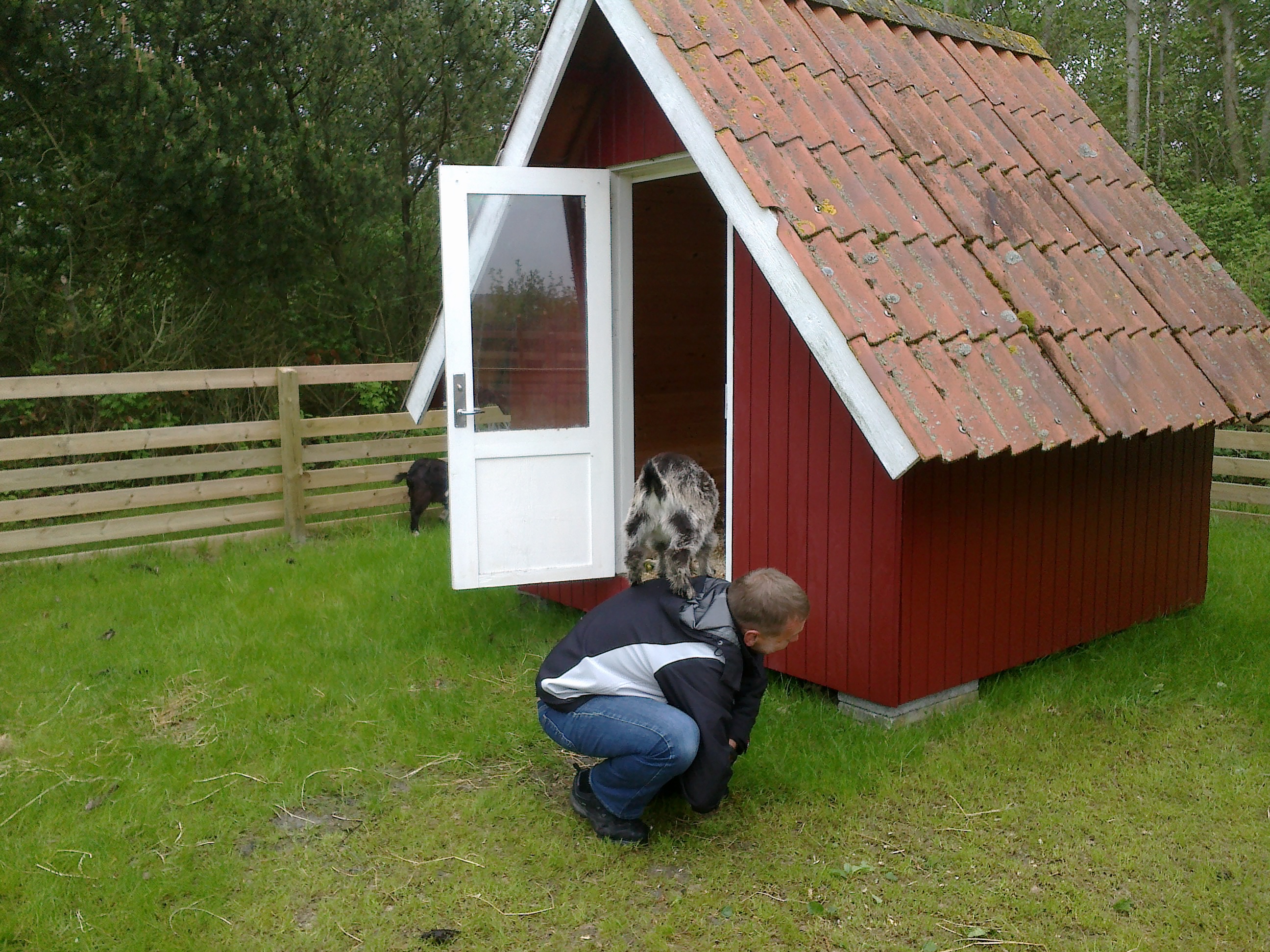 geder